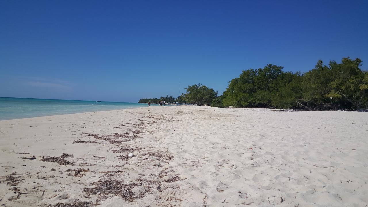 Hostal B&B Italia Caribe Pedernales Esterno foto
