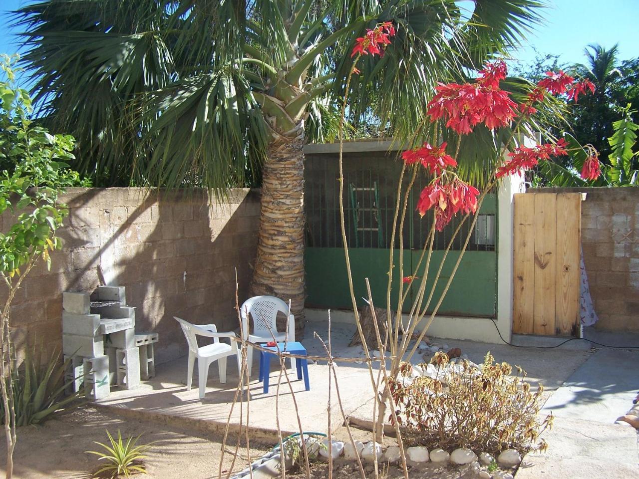 Hostal B&B Italia Caribe Pedernales Esterno foto